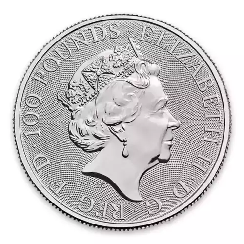2018 1oz British Platinum Britannia Coin (3)