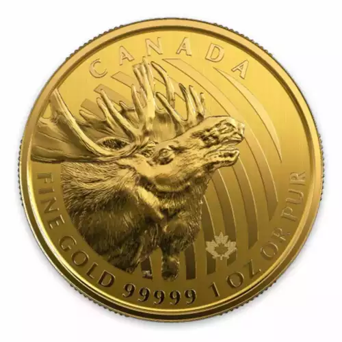 2019 1oz Canadian Gold 