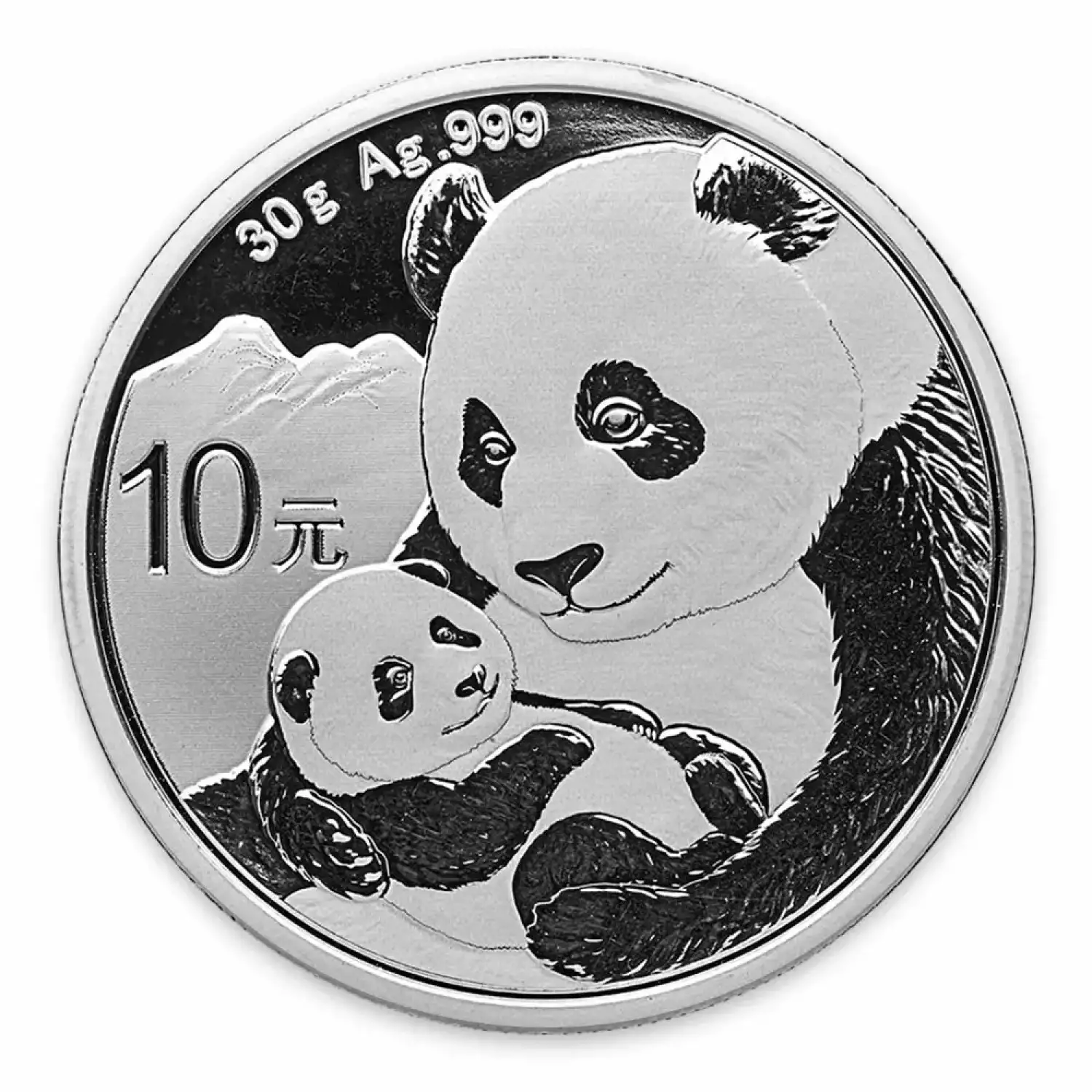 2019 30g Chinese Silver Panda (3)