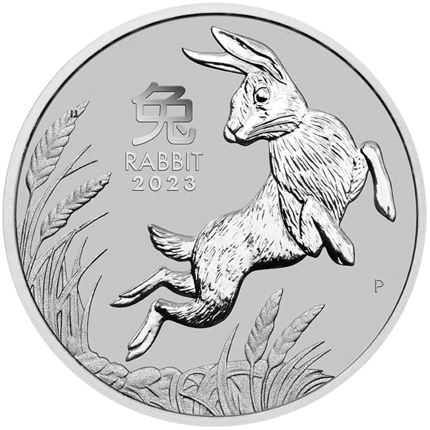 2023 1oz Australian Perth Mint Platinum Rabbit (2)