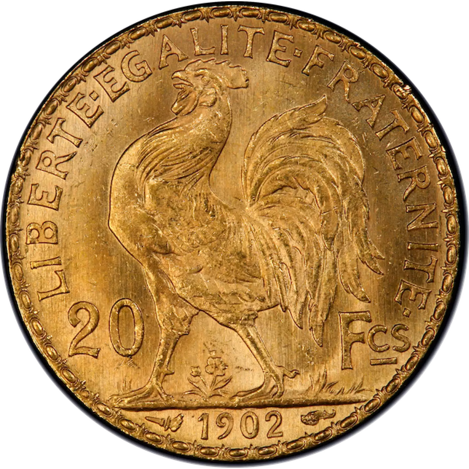 Any Year Gold French 20 Franc (5)