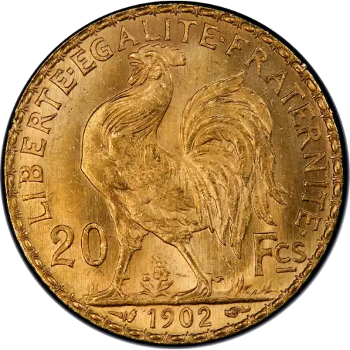 Any Year Gold French 20 Franc (5)