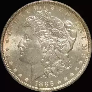 Morgan Silver Dollar