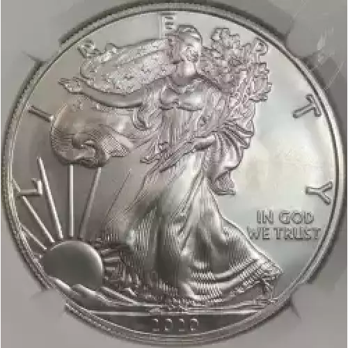 Silver Eagle - States