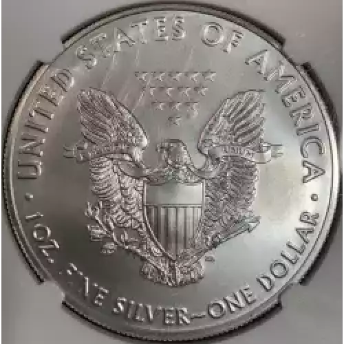Silver Eagle - States (2)