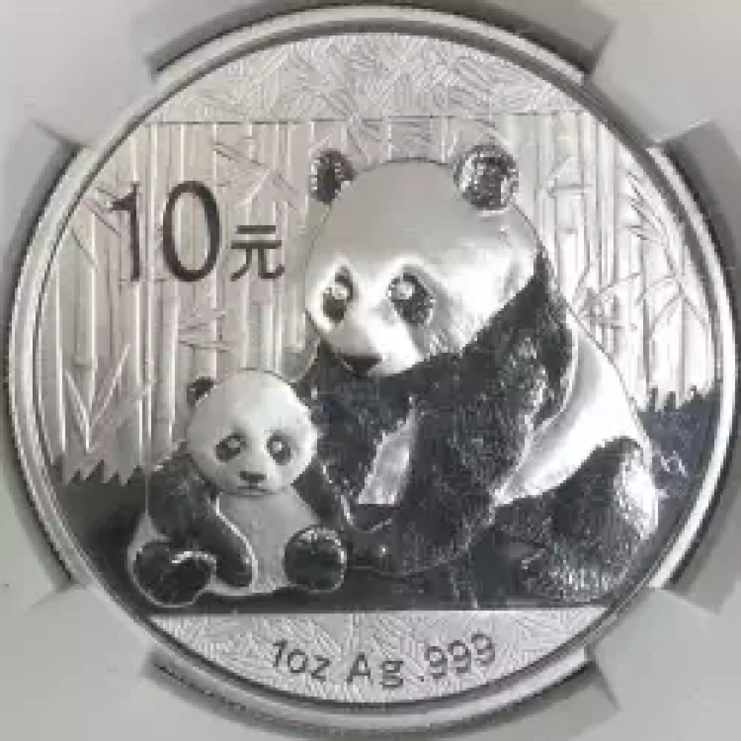 Silver Panda (2)